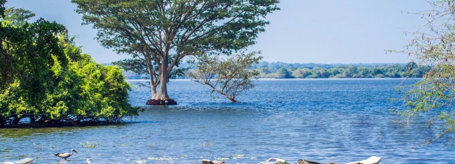 Puttalam Profile Picture
