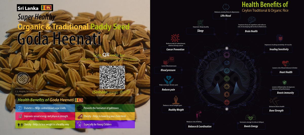 Goda Heenati Seeds Paddy ( ගොඩ හීනටි වී) Health Benefits