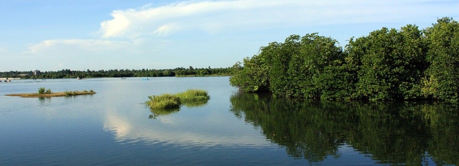 Valaichchenai Profile Picture